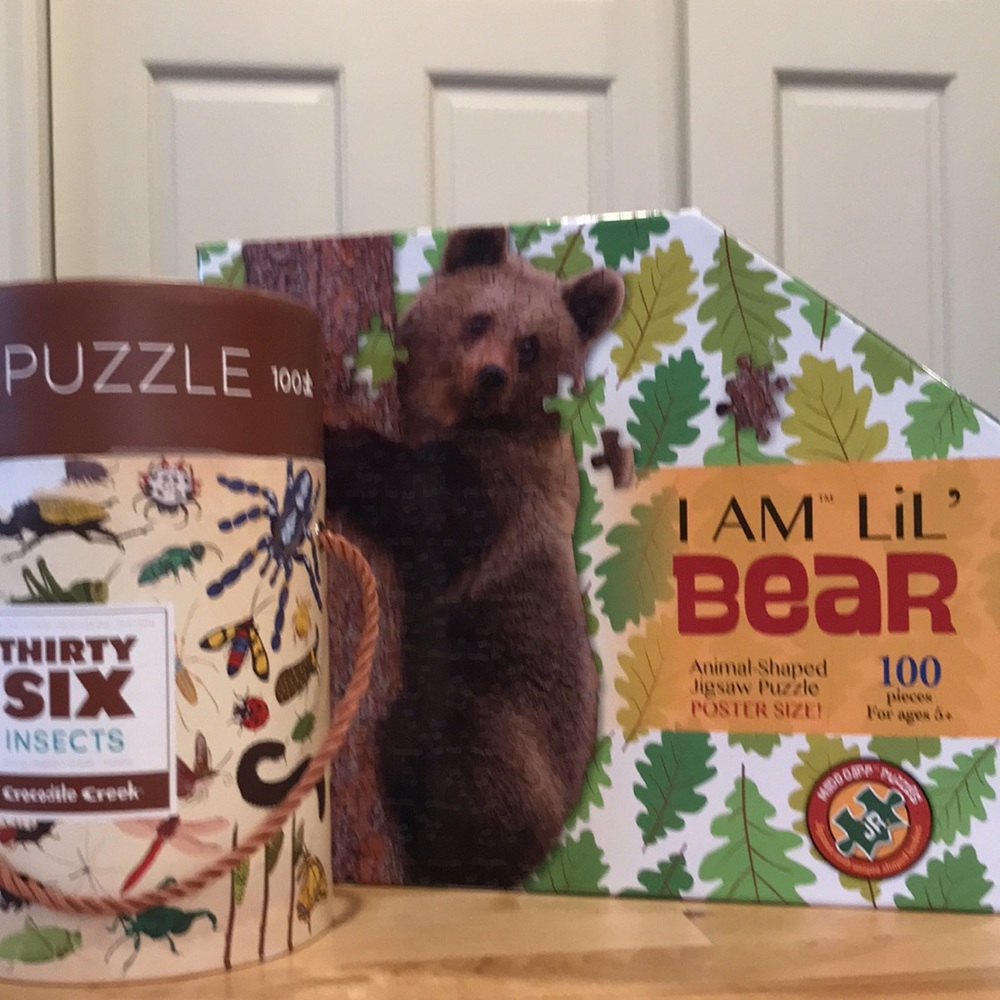 2 educational 100 piece puzzles for age 5+